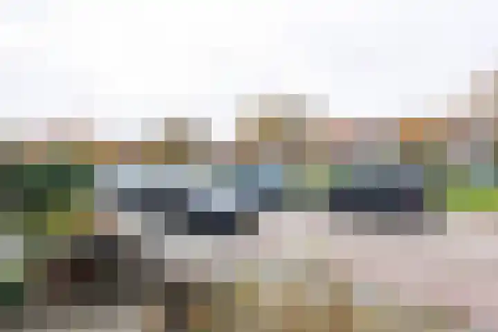 Batavierenplantsoen 24 Haarlem thumbnail 31