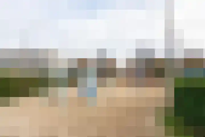 Batavierenplantsoen 24 Haarlem thumbnail 32