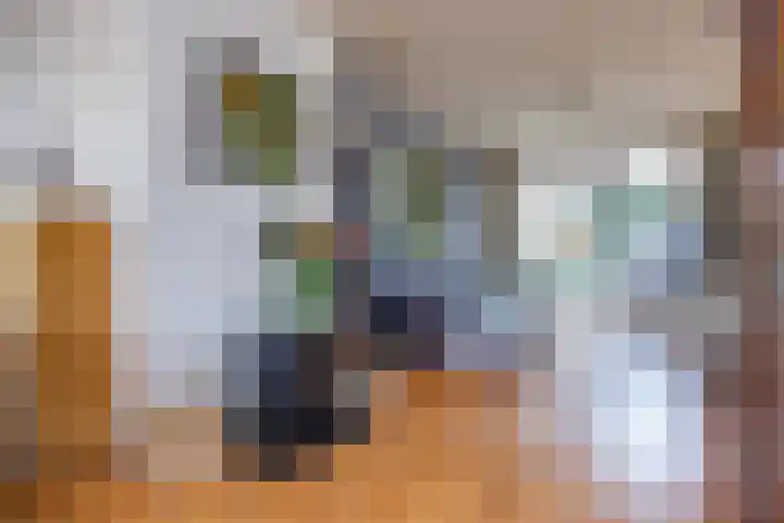 Batavierenplantsoen 24 Haarlem thumbnail 5