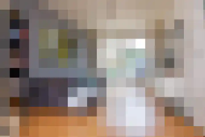Batavierenplantsoen 24 Haarlem thumbnail 6
