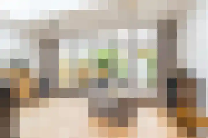 Batavierenplantsoen 38 Haarlem thumbnail 17