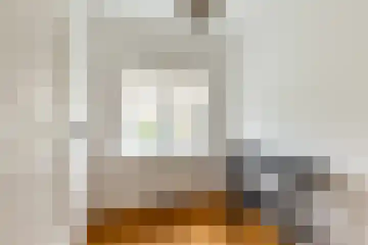 Batavierenplantsoen 38 Haarlem thumbnail 19