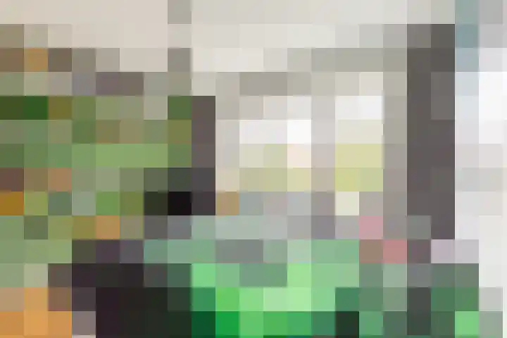 Batavierenplantsoen 38 Haarlem thumbnail 24