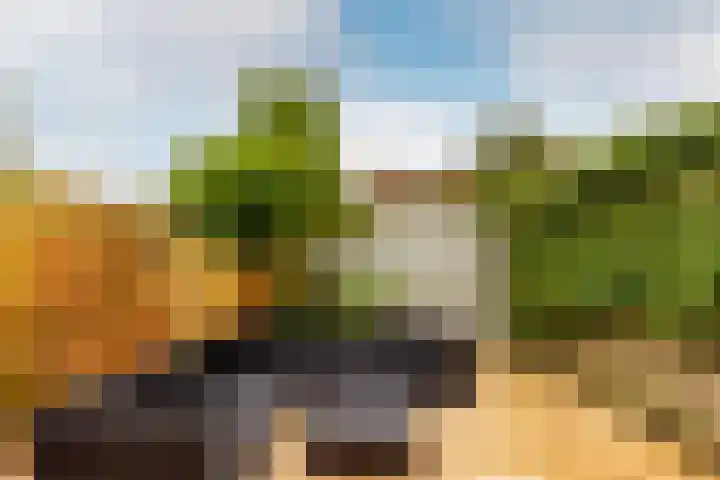 Batavierenplantsoen 38 Haarlem thumbnail 27