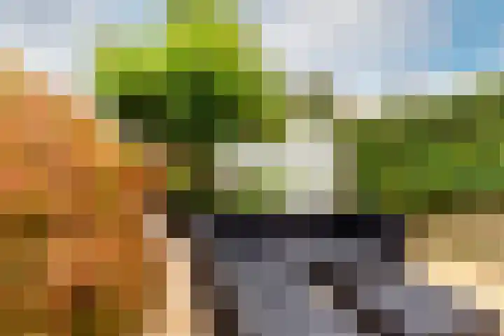 Batavierenplantsoen 38 Haarlem thumbnail 28