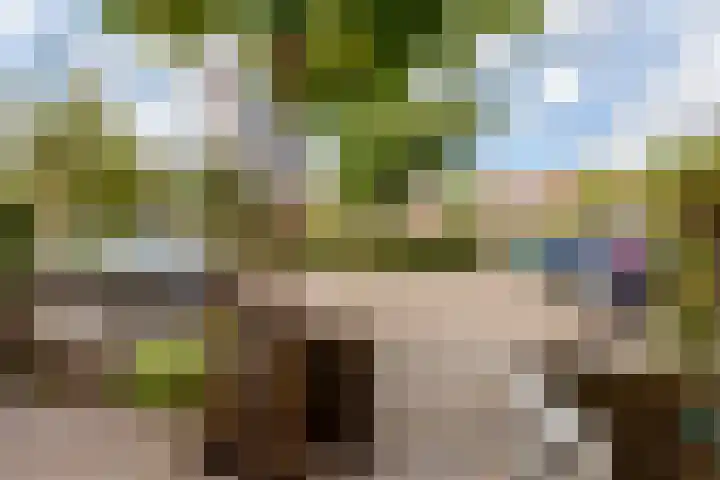 Batavierenplantsoen 38 Haarlem thumbnail 30