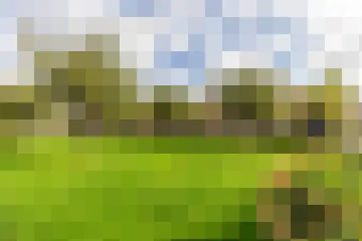 Batavierenplantsoen 38 Haarlem thumbnail 31