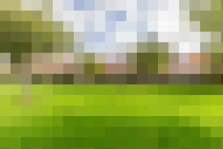 Batavierenplantsoen 38 Haarlem thumbnail 32