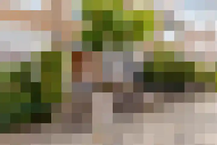 Batavierenplantsoen 38 Haarlem thumbnail 6