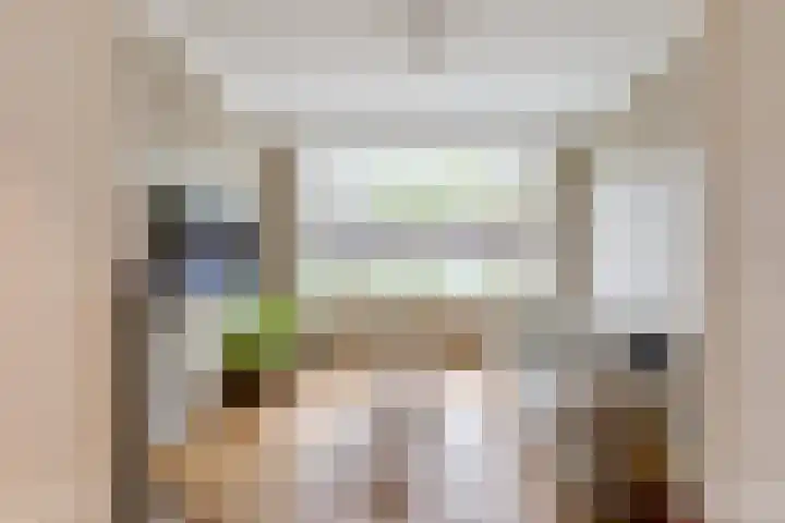 Batavierenplantsoen 38 Haarlem thumbnail 9