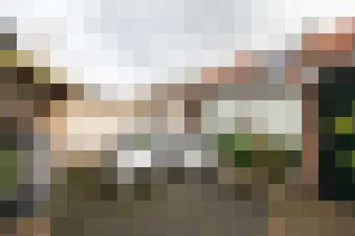 Batavierenplantsoen 48 Haarlem thumbnail 17