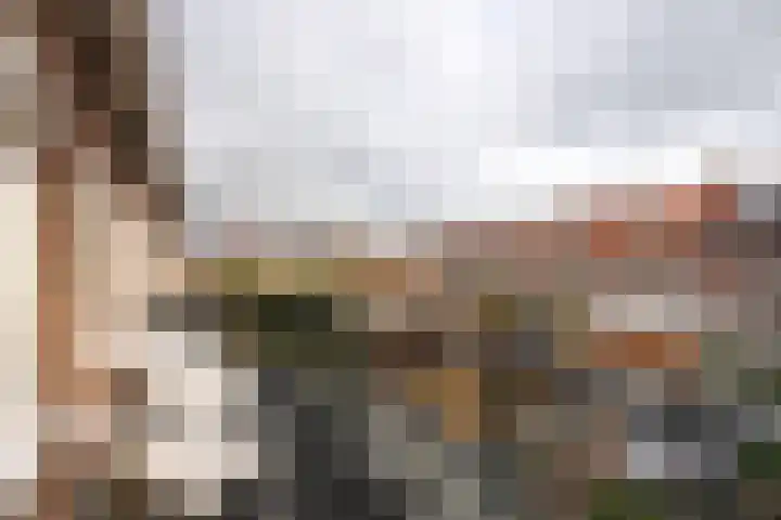 Batavierenplantsoen 48 Haarlem thumbnail 23