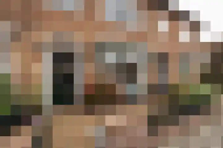 Batavierenplantsoen 48 Haarlem thumbnail 32