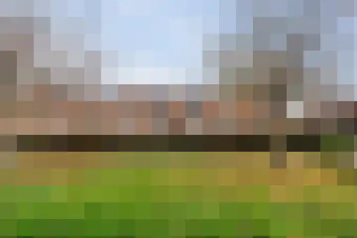 Batavierenplantsoen 48 Haarlem thumbnail 33