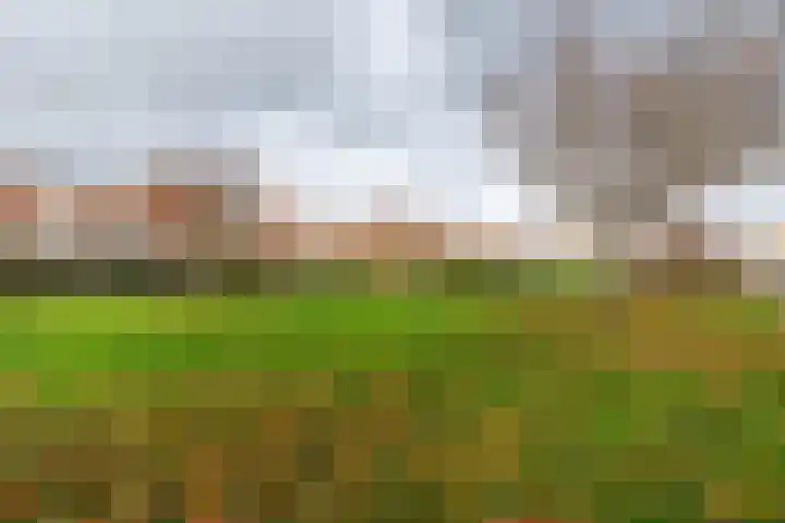 Batavierenplantsoen 48 Haarlem thumbnail 34