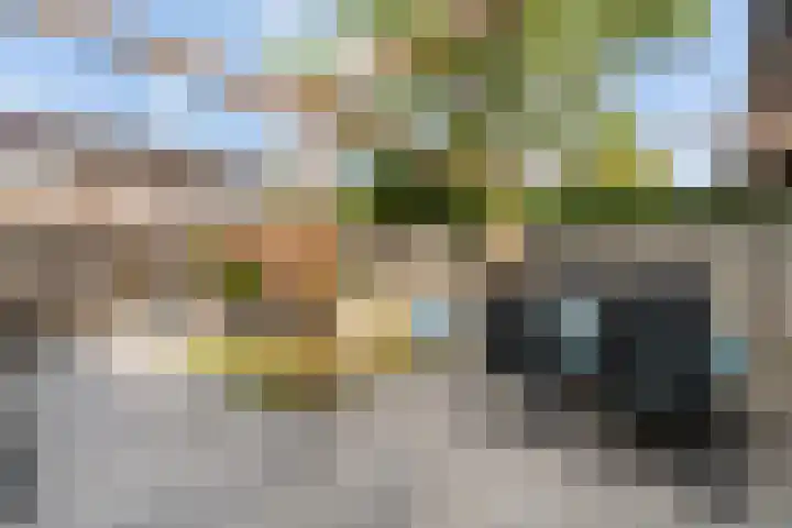 Batavierenstraat 15 Weert thumbnail 33