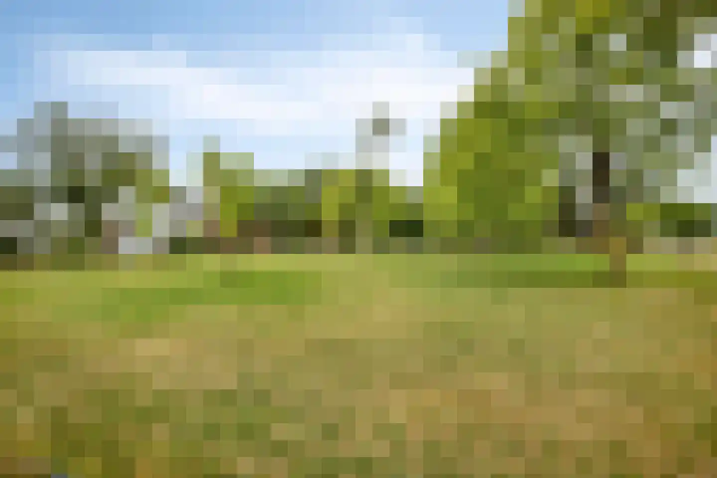 Batavierenweg 325 Nijmegen thumbnail 44