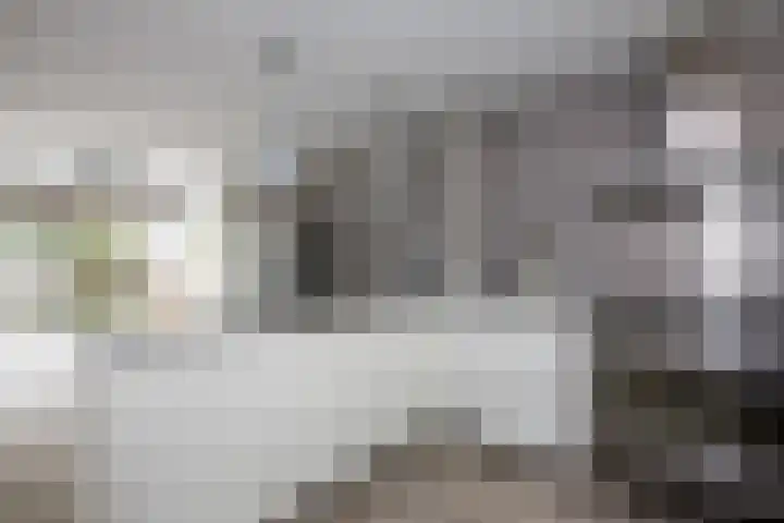 Batavierlaan 10 Nieuwerkerk aan den IJssel thumbnail 10
