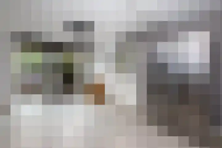 Batavierlaan 10 Nieuwerkerk aan den IJssel thumbnail 11