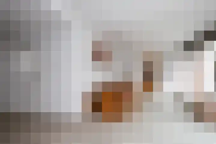 Batavierlaan 10 Nieuwerkerk aan den IJssel thumbnail 14