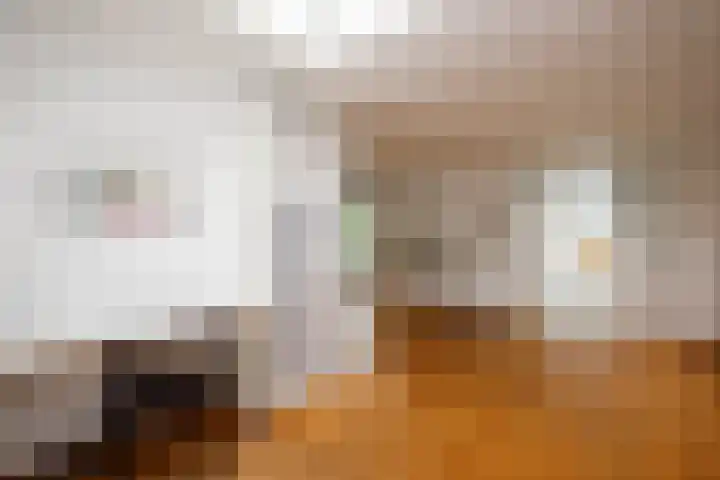 Batavierlaan 10 Nieuwerkerk aan den IJssel thumbnail 18
