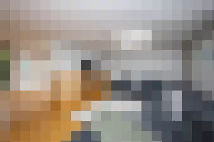 Batavierlaan 10 Nieuwerkerk aan den IJssel thumbnail 20