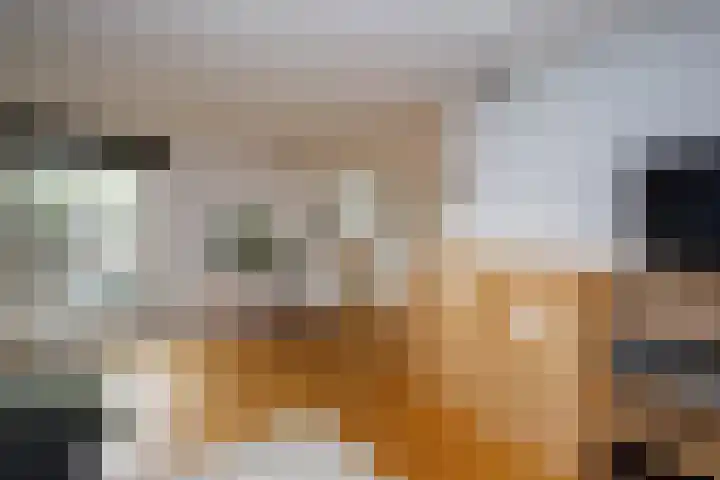 Batavierlaan 10 Nieuwerkerk aan den IJssel thumbnail 22