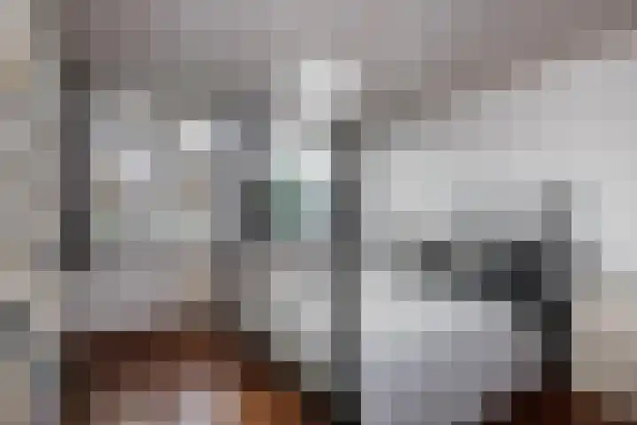Batavierlaan 10 Nieuwerkerk aan den IJssel thumbnail 25