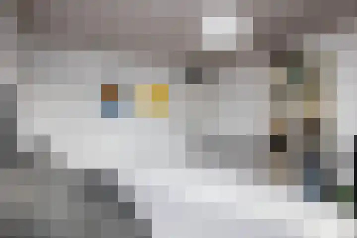 Batavierlaan 10 Nieuwerkerk aan den IJssel thumbnail 26