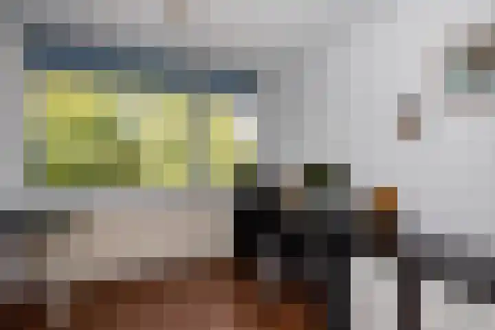 Batavierlaan 10 Nieuwerkerk aan den IJssel thumbnail 29