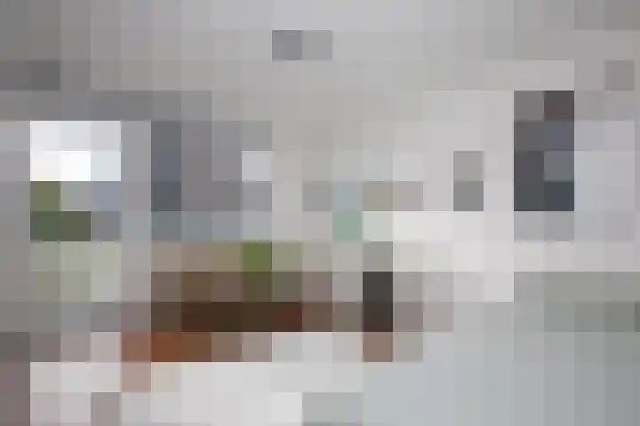 Batavierlaan 10 Nieuwerkerk aan den IJssel thumbnail 30