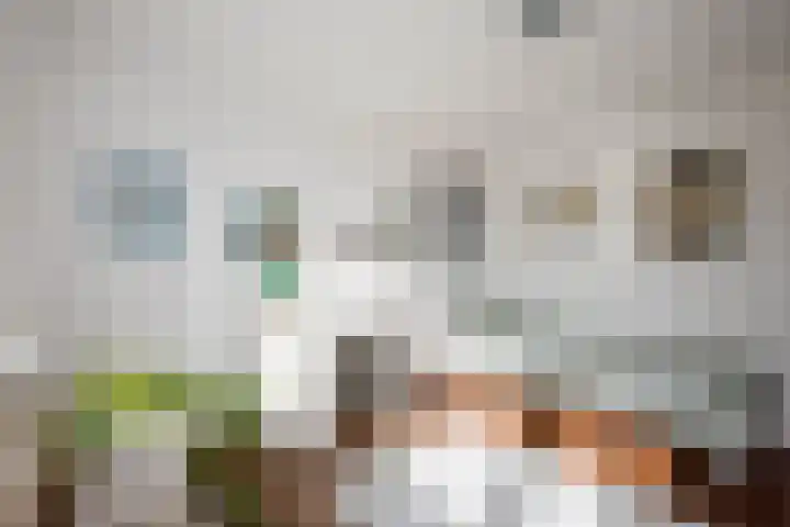 Batavierlaan 10 Nieuwerkerk aan den IJssel thumbnail 31