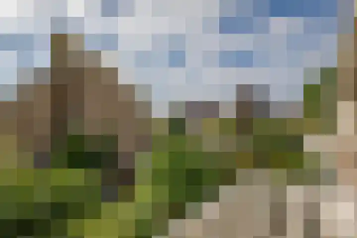 Batavierlaan 10 Nieuwerkerk aan den IJssel thumbnail 32
