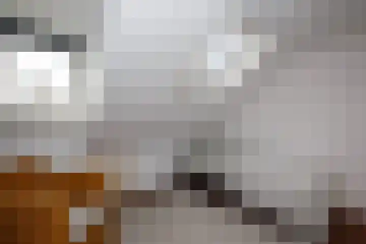 Batavierlaan 10 Nieuwerkerk aan den IJssel thumbnail 34