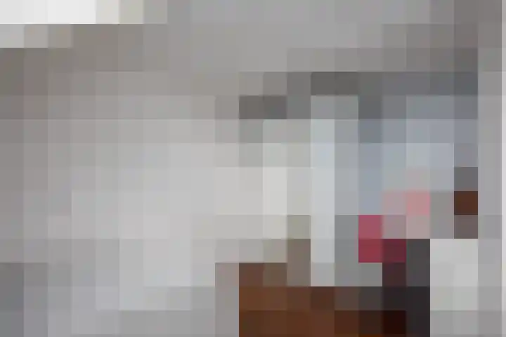 Batavierlaan 10 Nieuwerkerk aan den IJssel thumbnail 35