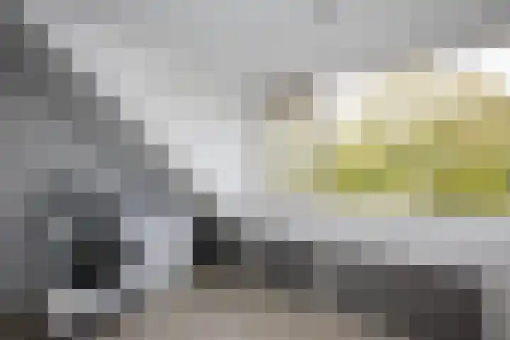 Batavierlaan 10 Nieuwerkerk aan den IJssel thumbnail 36