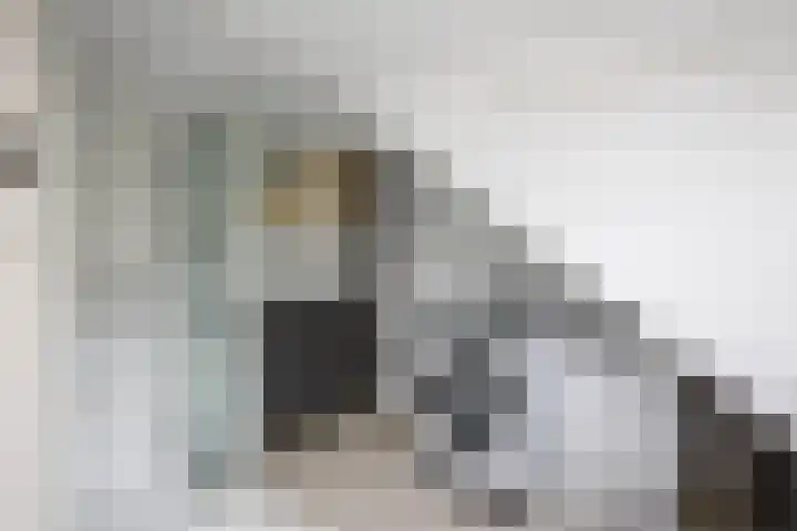 Batavierlaan 10 Nieuwerkerk aan den IJssel thumbnail 37
