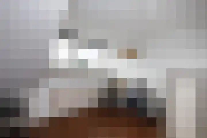 Batavierlaan 10 Nieuwerkerk aan den IJssel thumbnail 38