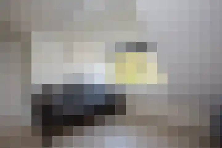 Batavierlaan 10 Nieuwerkerk aan den IJssel thumbnail 39