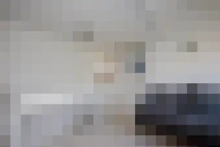 Batavierlaan 10 Nieuwerkerk aan den IJssel thumbnail 40