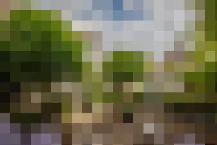 Batavierlaan 10 Nieuwerkerk aan den IJssel thumbnail 41