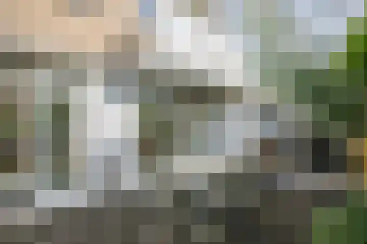 Batavierlaan 10 Nieuwerkerk aan den IJssel thumbnail 43