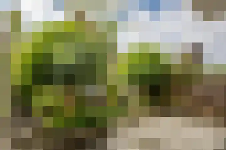 Batavierlaan 10 Nieuwerkerk aan den IJssel thumbnail 44