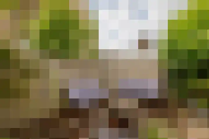 Batavierlaan 10 Nieuwerkerk aan den IJssel thumbnail 46