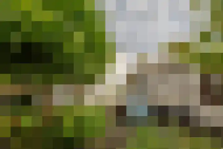 Batavierlaan 10 Nieuwerkerk aan den IJssel thumbnail 47