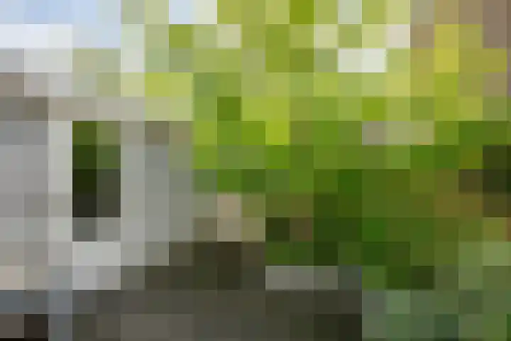 Batavierlaan 10 Nieuwerkerk aan den IJssel thumbnail 48