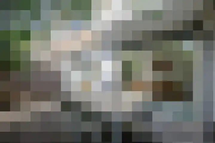 Batavierlaan 10 Nieuwerkerk aan den IJssel thumbnail 49