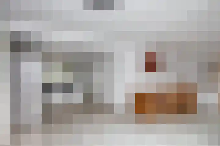 Batavierlaan 10 Nieuwerkerk aan den IJssel thumbnail 5