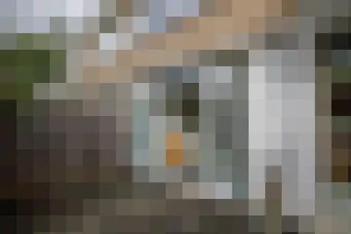 Batavierlaan 10 Nieuwerkerk aan den IJssel thumbnail 50