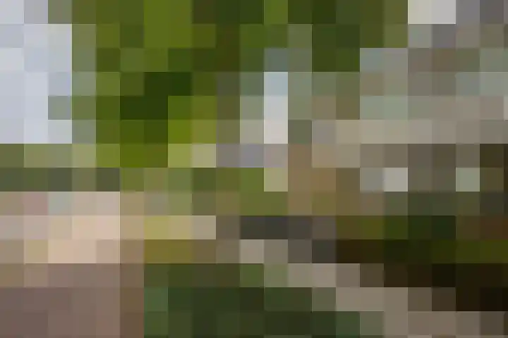 Batavierlaan 10 Nieuwerkerk aan den IJssel thumbnail 55